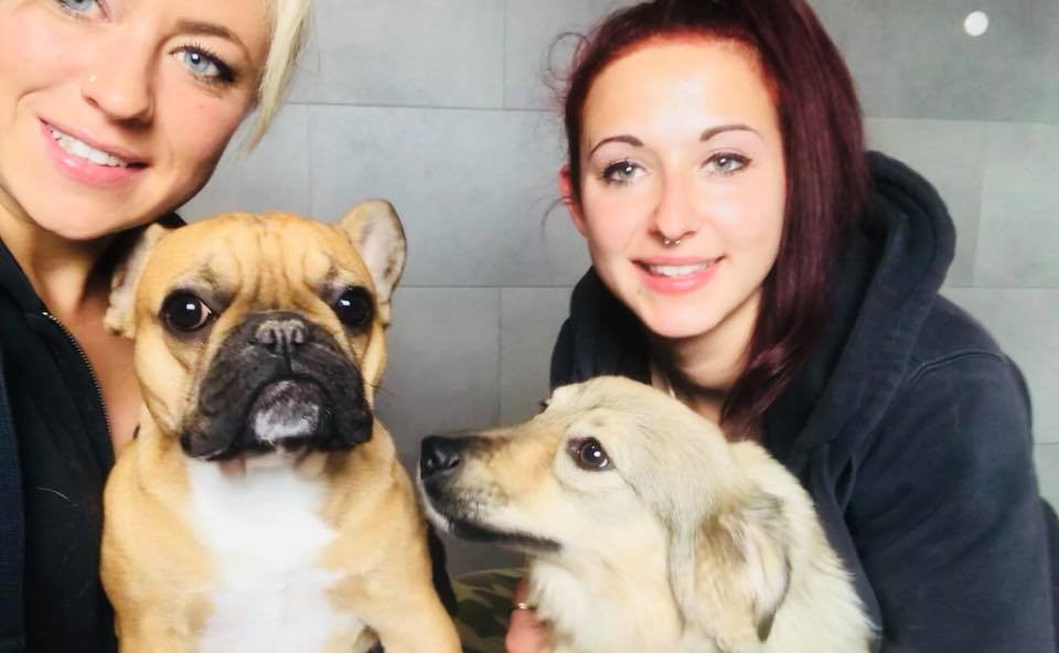 Hundepension München Team Satke zuständig für den Bereich Organisation, Buchung, Tierpflege