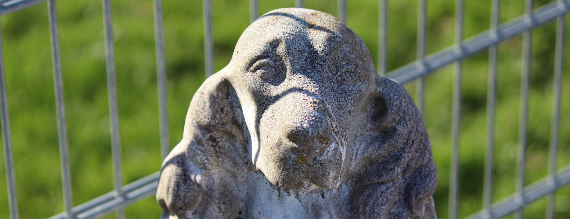 Die Hundepension mit Wohlfühlambiente