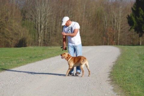 Hundeschule und Hundeinternat Satke München Stationäre Hundeausbildung ohne Besitzer in der Hundeschule Satke