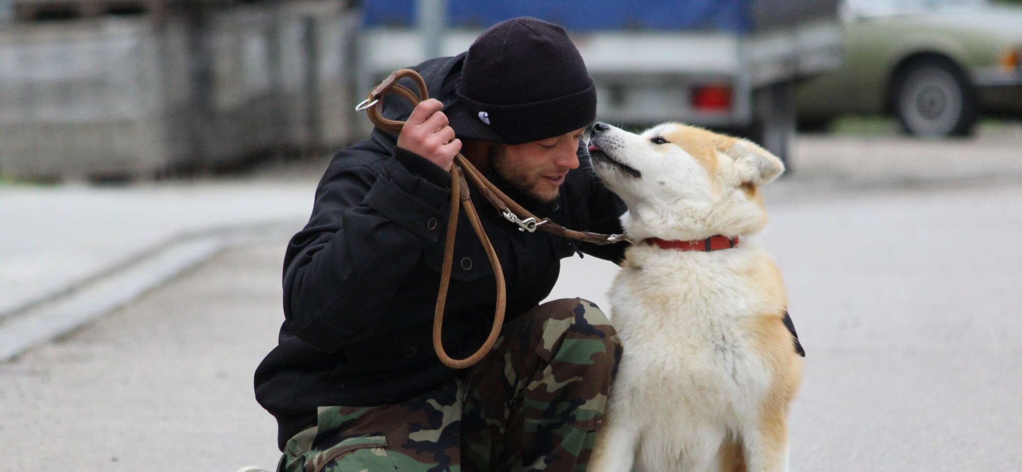 Hundeschule München - Hundeschule Satke Mit Logik und Leichtigkeit zum Erfolg