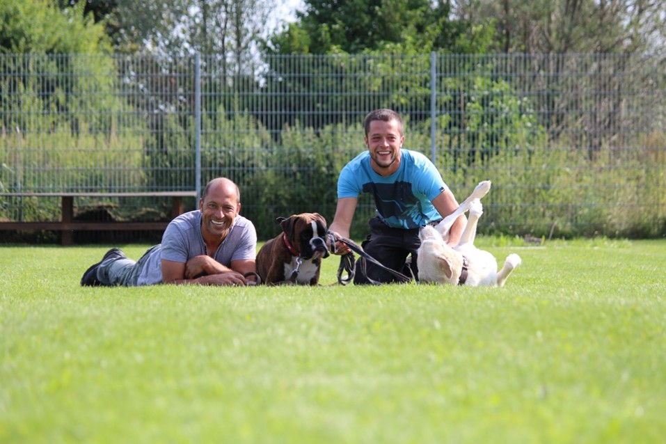 Hundeschule München - Privatunterricht bei Markus Satke Hundeschule München - Einzelunterricht beim Hundetrainer Markus und Tobias Satke
