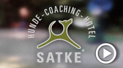 Videos der Hundeschule München Videos mit Hundetrainer Markus Satke